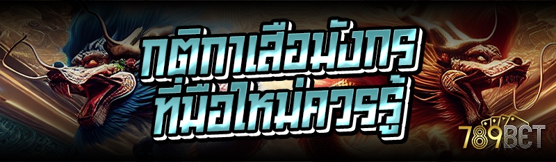 กติกาเสือมังกร ที่มือใหม่ควรรู้