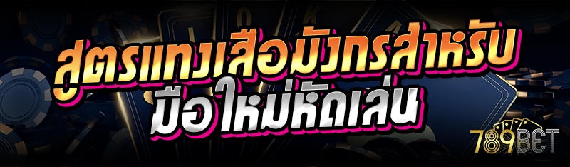 สูตรแทงเสือมังกรสำหรับมือใหม่หัดเล่น