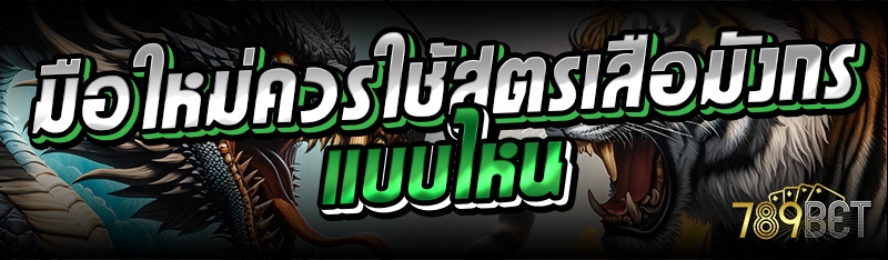 มือใหม่ควรใช้สูตรเสือมังกร แบบไหน