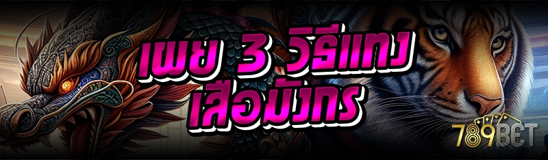 เผย 3 วิธีแทงเสือมังกร 